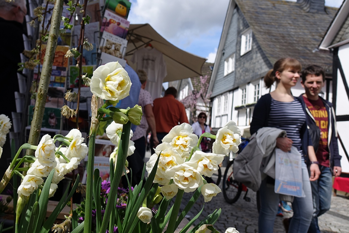 Frühlingsmarkt lockt am 16. April wieder in die Altstadt