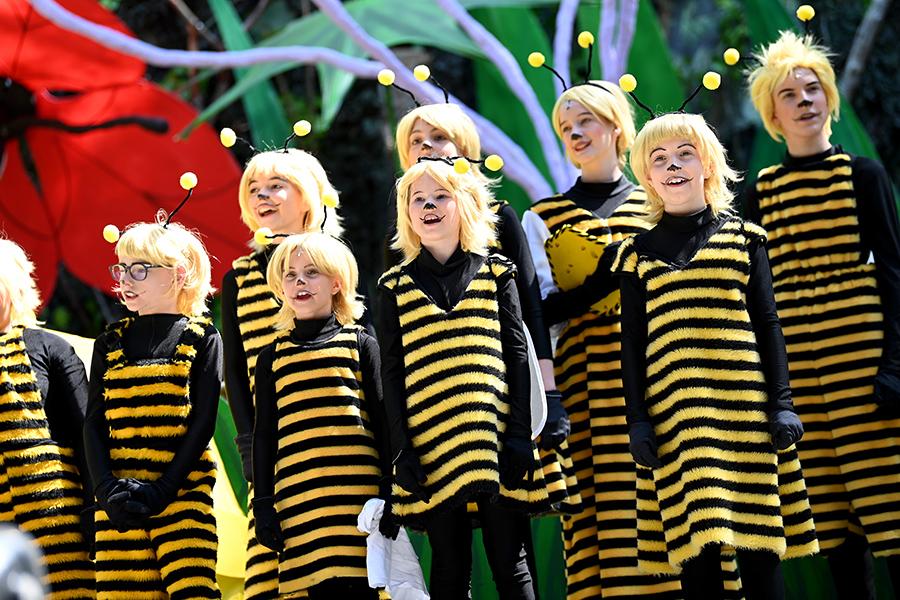 Junges Bienenvolk summt sich in die Herzen des Publikums