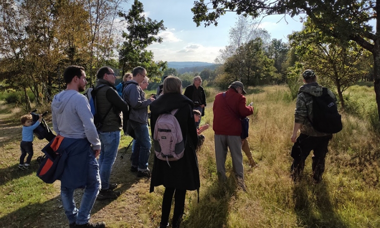 Den Pilzen auf der Spur auf der Trupbacher Heide