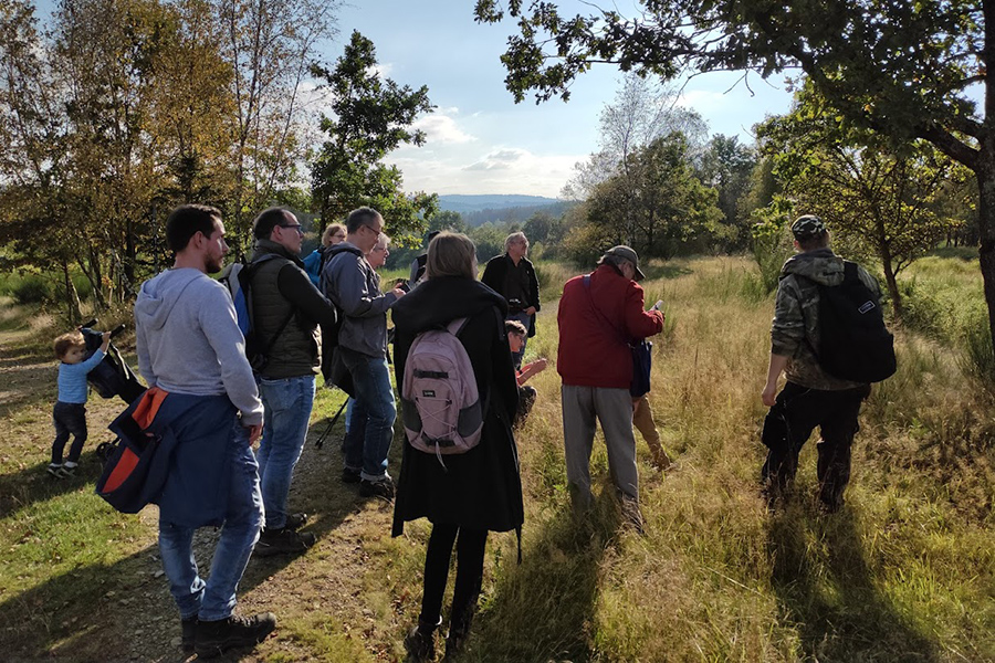 Den Pilzen auf der Spur auf der Trupbacher Heide