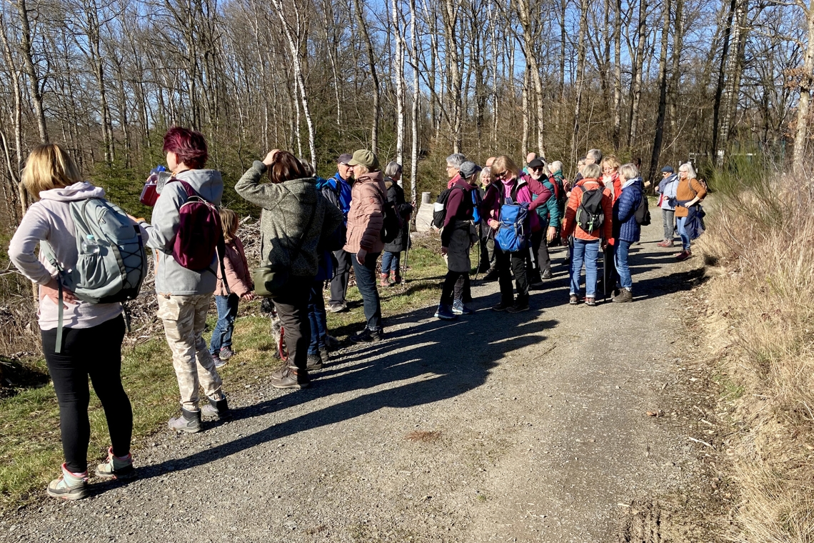 Wandernd raus aus dem alten und rein ins neue Jahr