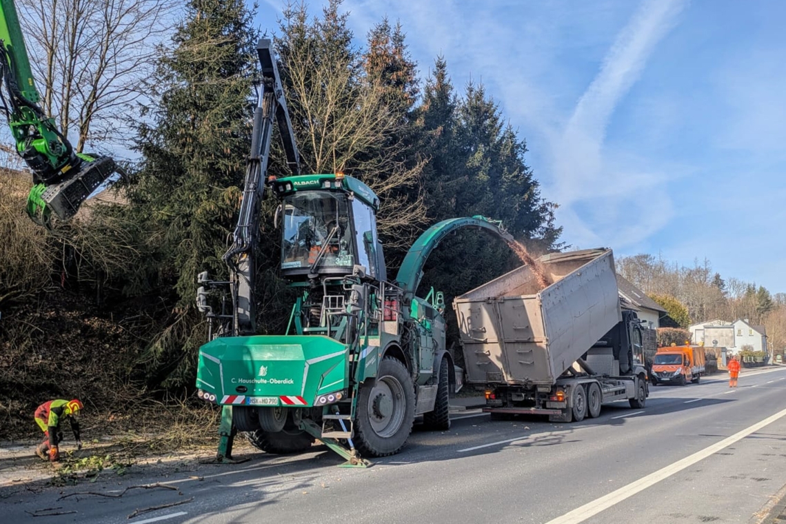 Drei Bäume in Lindenberg aus Sicherheitsgründen gefällt