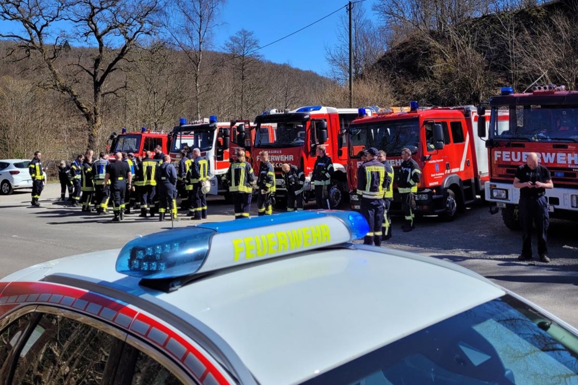 Waldbrand war &quot;nur&quot; Pollenflug, aber die Gefahr bleibt