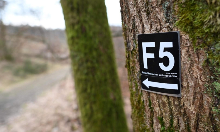 SGV wandert im November mit vielen Aus- und Einblicken