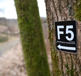 Ungebetener Hotelgast duscht, randaliert und verletzt Polizisten