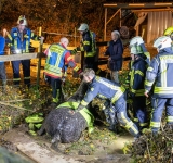 SGV wandert im November mit vielen Aus- und Einblicken