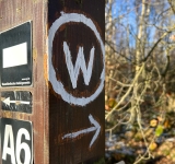 Kein Glückstag für 67-Jährigen: Auto in Alchen zu Schrott gefahren