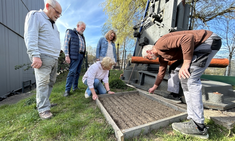 Vom Feld zum Kleiderbügel: Am Technikmuseum wächst jetzt Flachs
