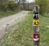 Skateanlage im Gambachtal wird umfassend saniert