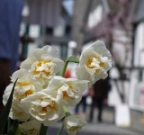 Vom Feld zum Kleiderbügel: Am Technikmuseum wächst jetzt Flachs