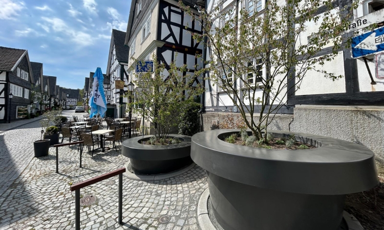 Der Flecken wird grüner: Pocket-Parks laden in die Altstadt ein