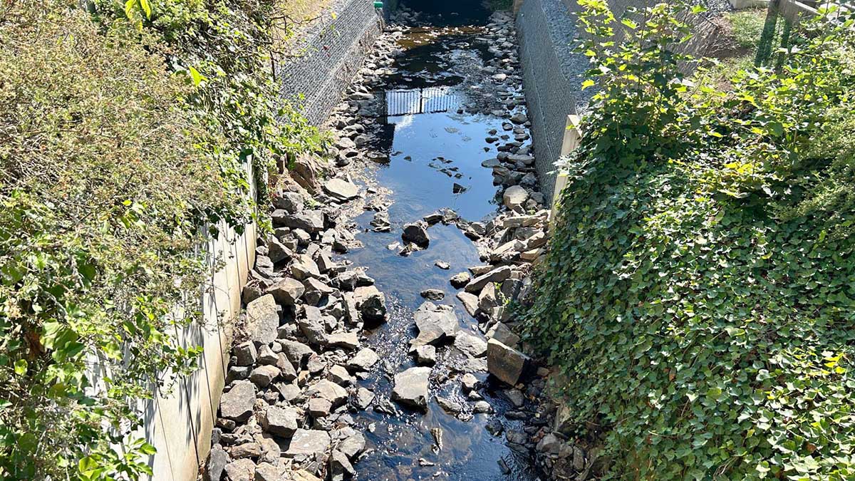 Viel zu trocken: Wie hier die Weibe an der Bahnhofstraße führen viele Bäche und Flüsse derzeit zu wenig Wasser. 