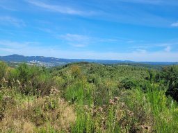 img-20250908-wa0011